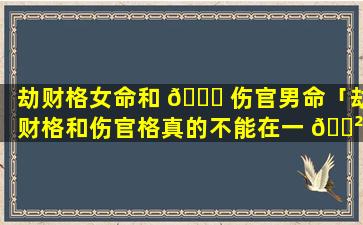 劫财格女命和 💐 伤官男命「劫财格和伤官格真的不能在一 🌲 起吗」